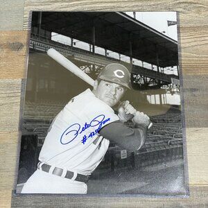Signed Original Pete Rose Holding A Bat Baseball MLB Memorabilia Autograph